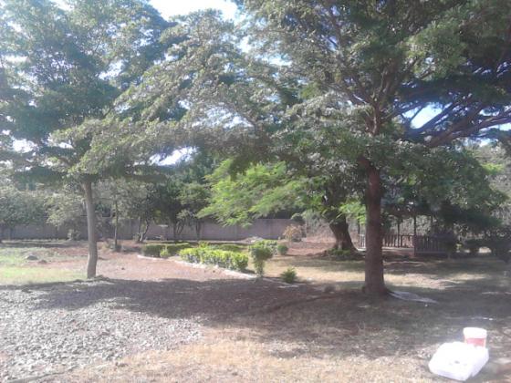 House to let in Isamilo Mwanza.